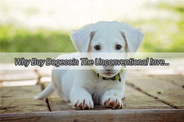 Why Buy Dogecoin The Unconventional Investment Thats Winning Hearts and Minds